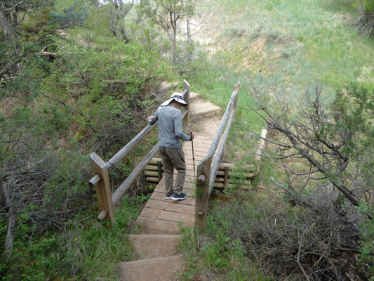 Coal Vein trail