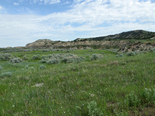 Coal Vein trail