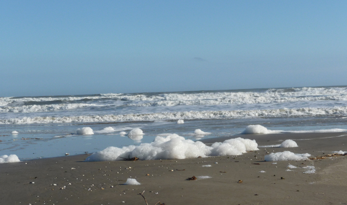 Beach foam Galveston Is SP