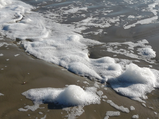 Beach foam Galveston Is SP