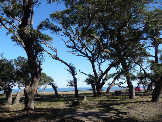 Fishing Pier Picnic area Aransas NWR