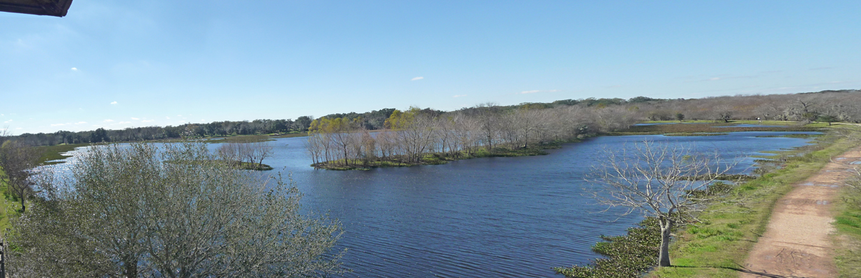 40-acre Lake Brazos Bend SP