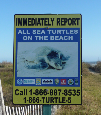 Turtle sign Galveston Is SP