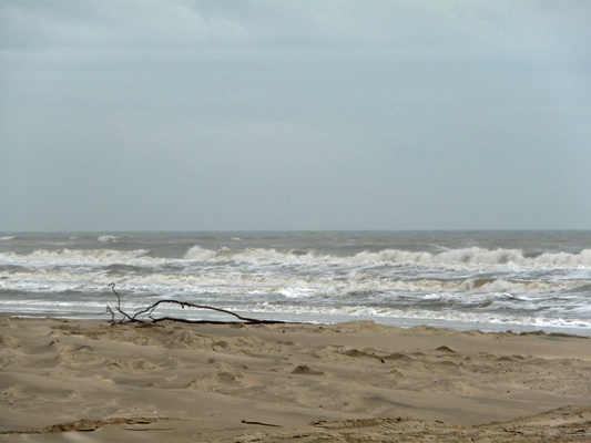 Surf Matagorda beach