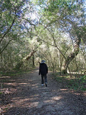 Walter Cooke walking on 40 Acre Lake Trail