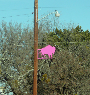 Buffalo Gap Buffalo