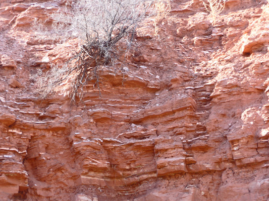 Picture rocks Palo Duro SP