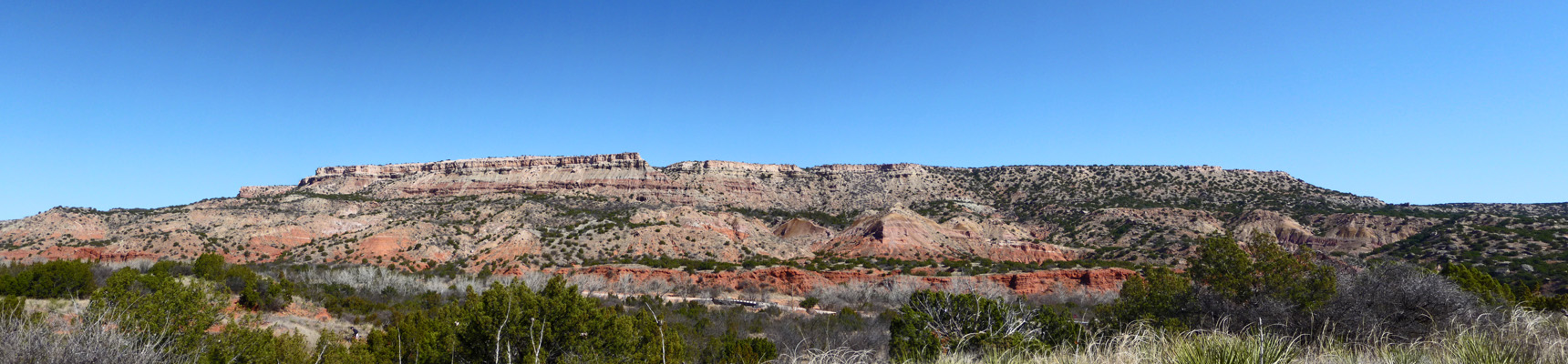 Roja Grande view Palo Duro SP