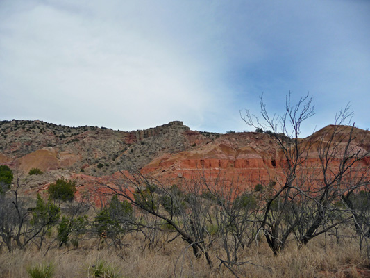 Cactus Camp view Palo Duro Canyon