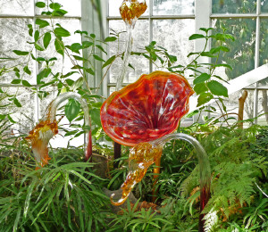 Orange Chihuly trumpet