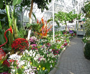 Spring flowers and Chihuly glass