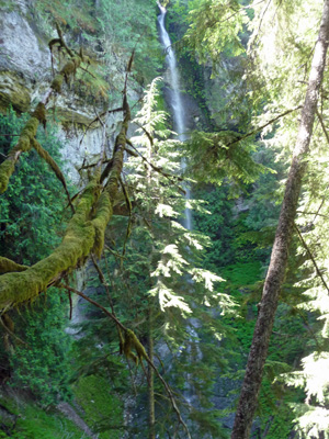 Top of falls on Goat Creek Trail