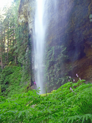 Scouler's Coyrdalis and waterfall