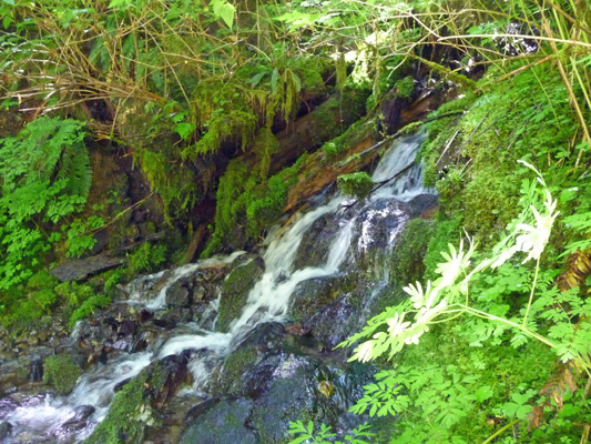 Creek Crossing on Goat Creek trail