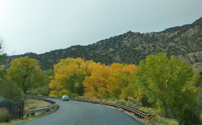 Fall color Low Rd Taos