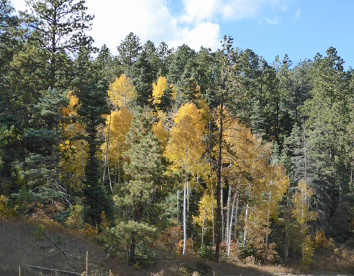 High Road Taos