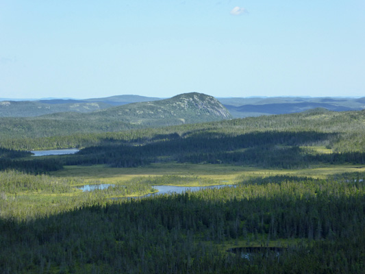 Mt Stamford from Ochre Hill