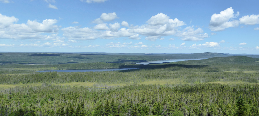 Ochre Hill red chair view Terra Nova