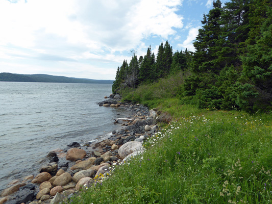 Newman Sound coastline