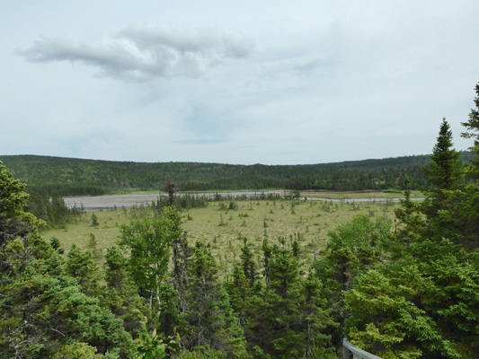 Campground Trail view Terra Nova