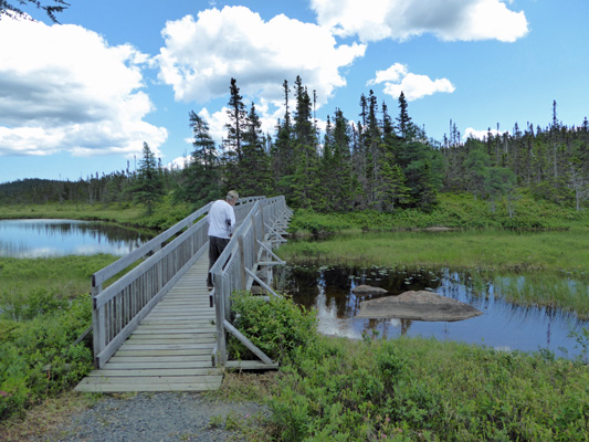 Sandy Pond trail bridge