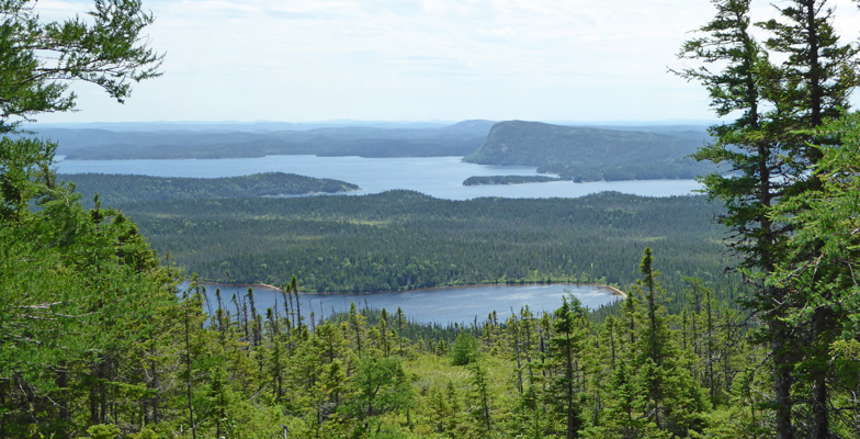 Newman Sound from Blue Hill