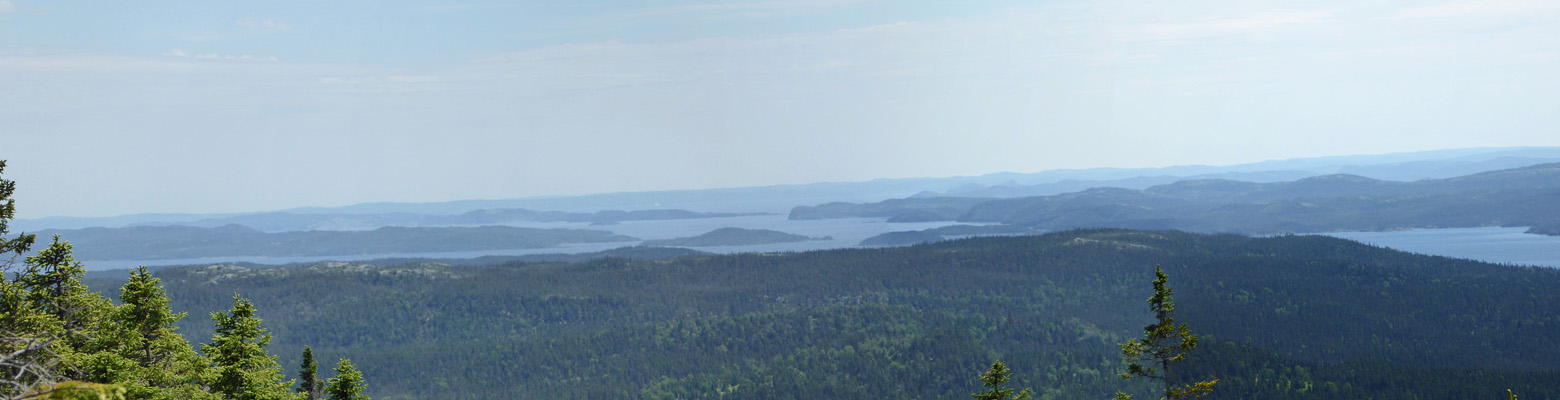 Newman Sound from Blue Hill Terra Nova NL