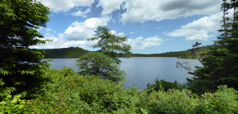 Sandy Pond from trail