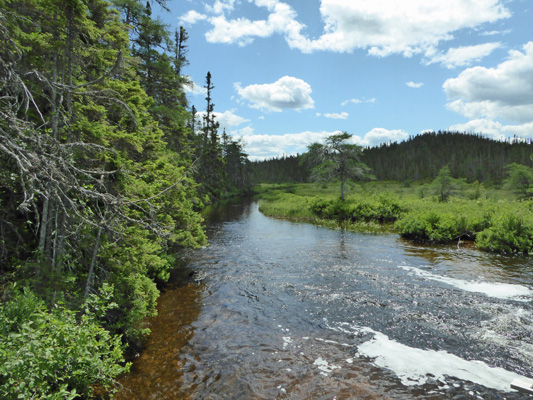 Sandy Pond outlet