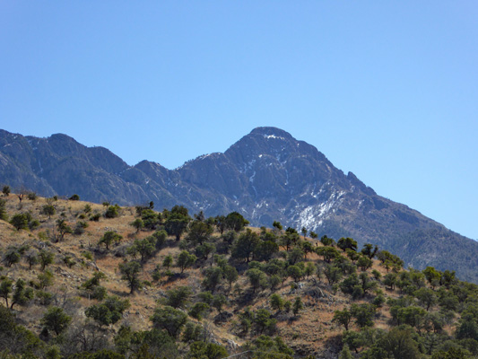 Madera Canyon mountain view with snow