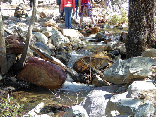 Kids and Madera Creek