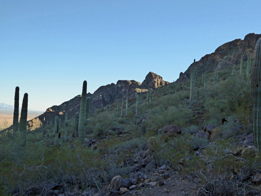 Calloway Trail view