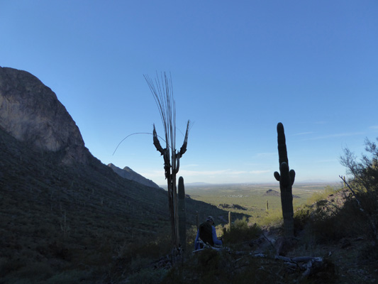 Calloway Trail view