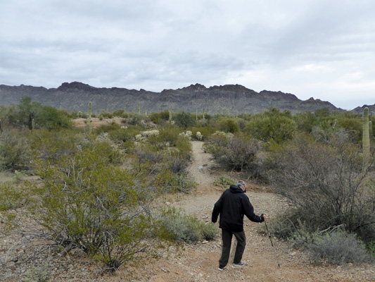 Walter Cooke crossing an arroyo