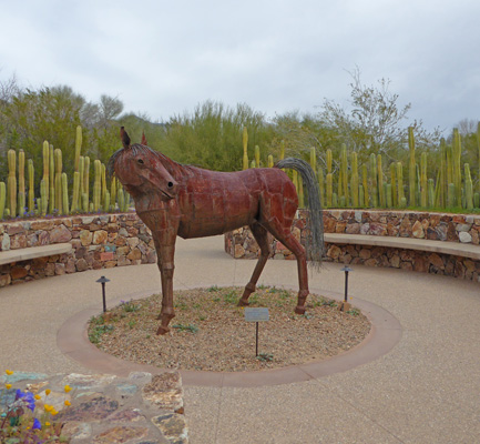 Tohono Chul Horse Sculpture