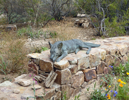 Coyote sculpture Tohono Chul
