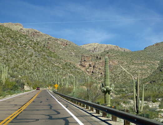 Catalina Mountain Hwy