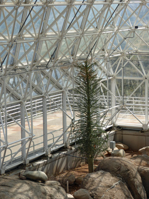 Fog desert Biosphere 2