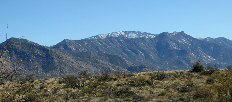 Mt Lemon from Biosphere 2