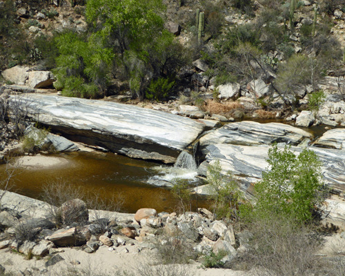 Sabino Canyon