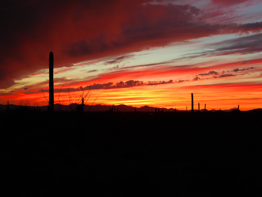 Sunset Gilbert Ray Campground