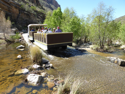 Sabino Canyon tram