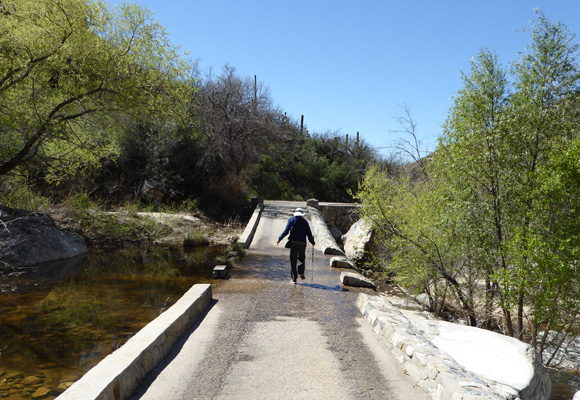 Walter Cooke Sabino Canyon