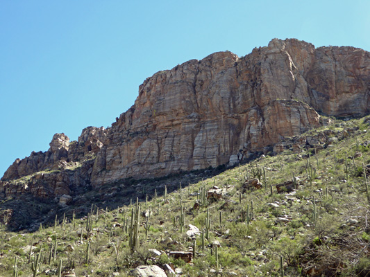 Sabino Canyon