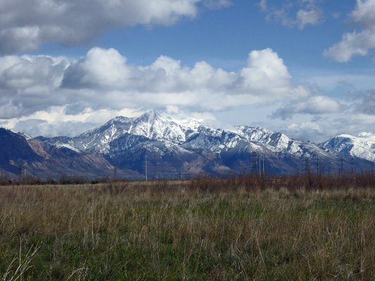 Wasatch from Willard Bay SP