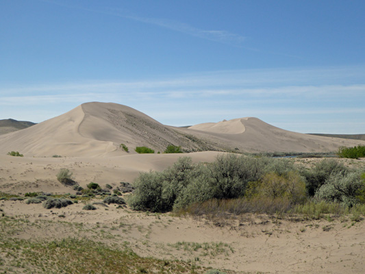 Bruneau Dunes SP