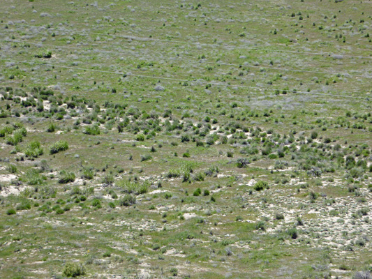 Oregon Trail ruts Hagerman Fossil Beds