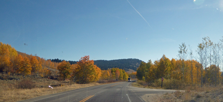 Grand Teton fall color