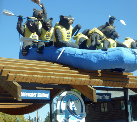 Jackson WY rafting bears