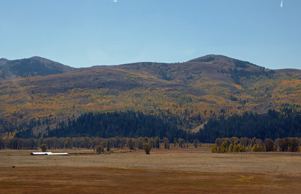 Fall color Hwy 89